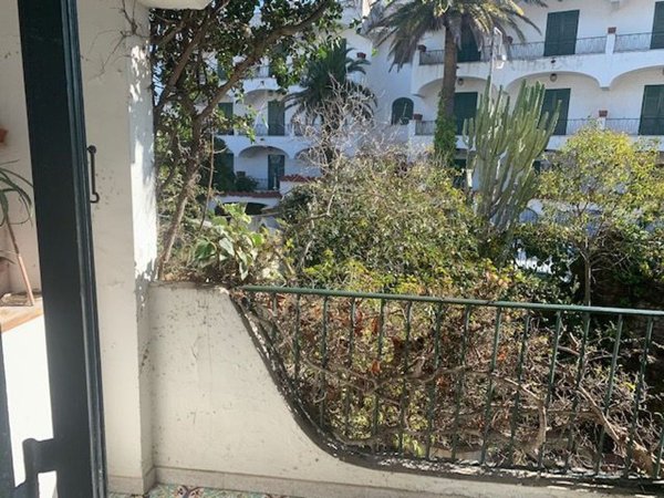 appartamento in affitto ad Ischia