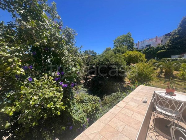 appartamento in affitto ad Ischia