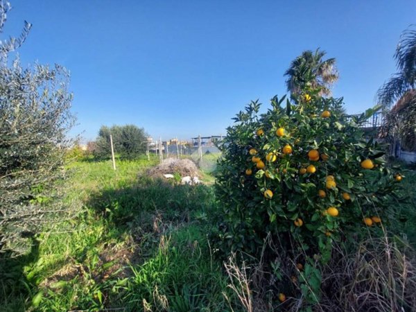 terreno agricolo in affitto a Marano di Napoli in zona San Rocco