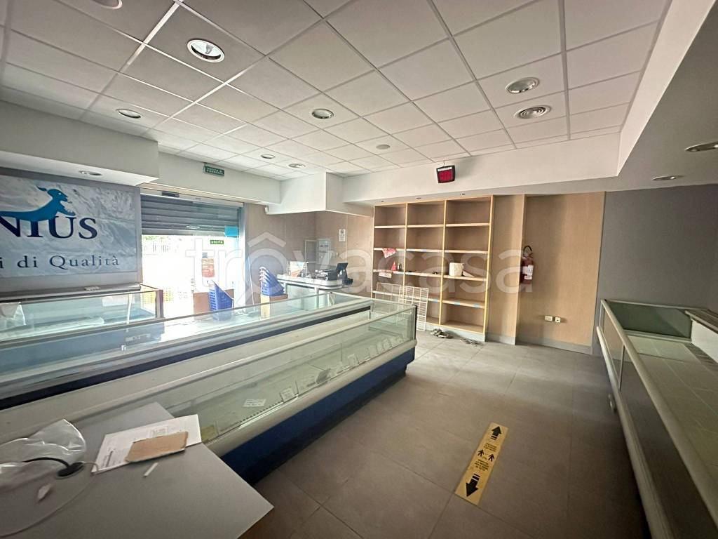 immagine annuncio 0 di 9