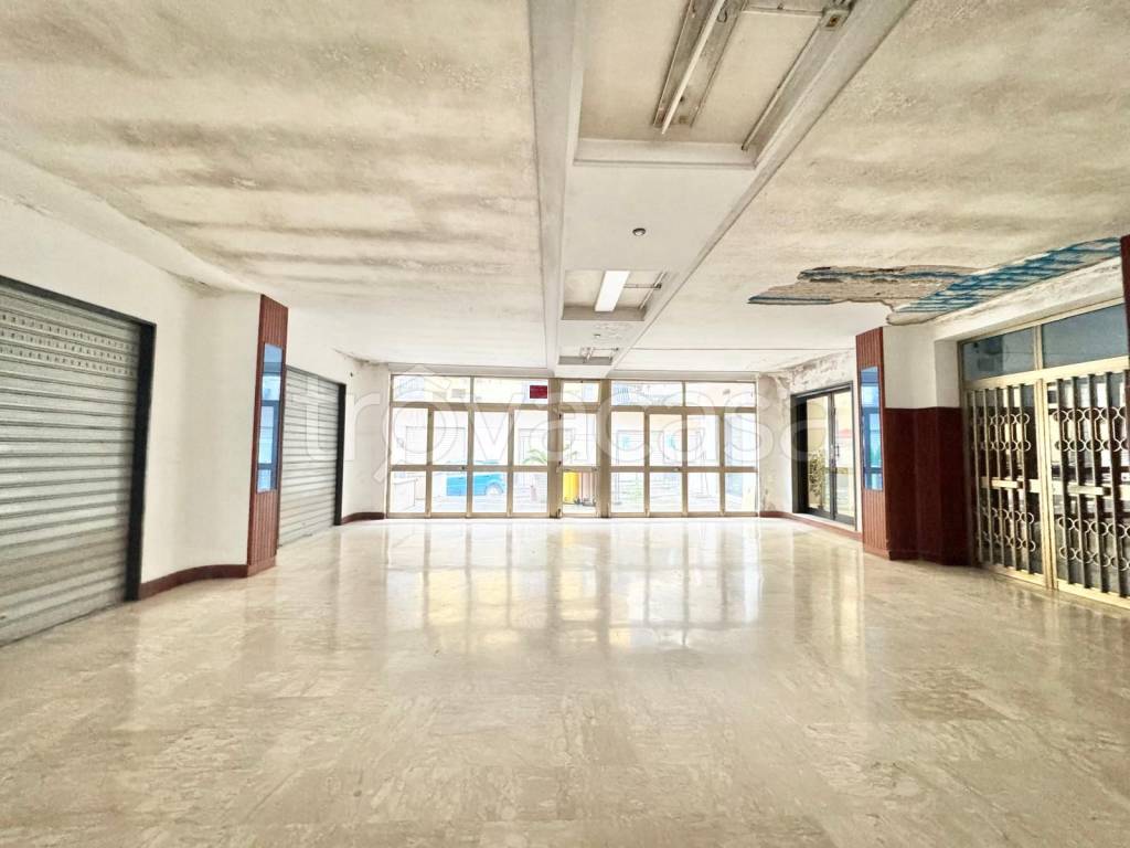 immagine annuncio 0 di 15