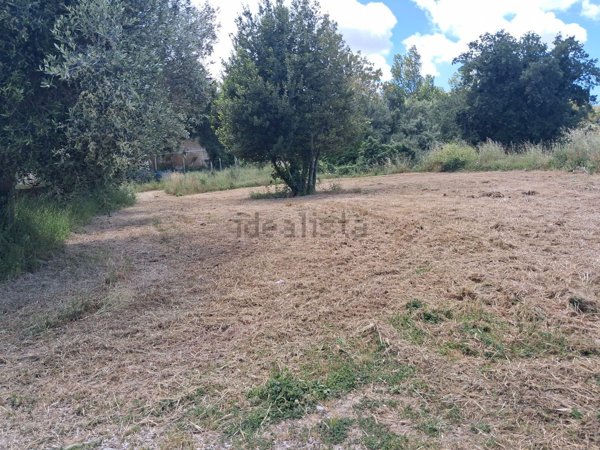 terreno agricolo in affitto a Marano di Napoli