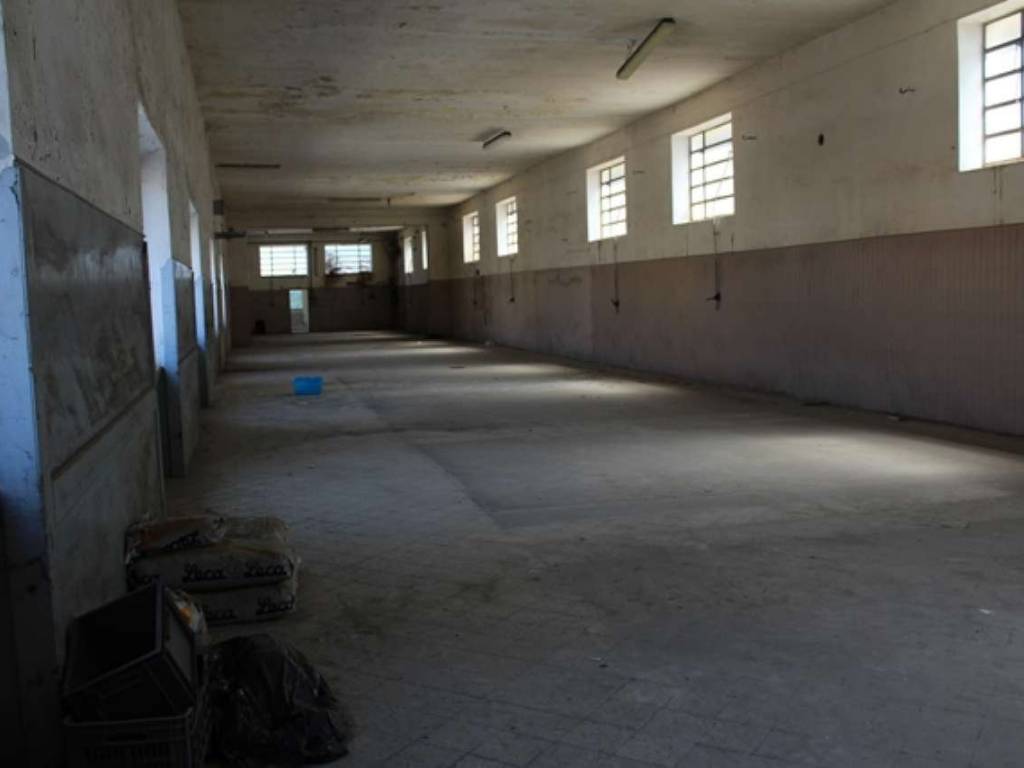 locale commerciale in affitto a Marigliano