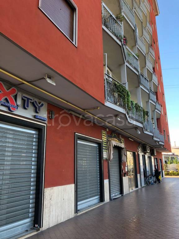 appartamento in affitto a Marigliano