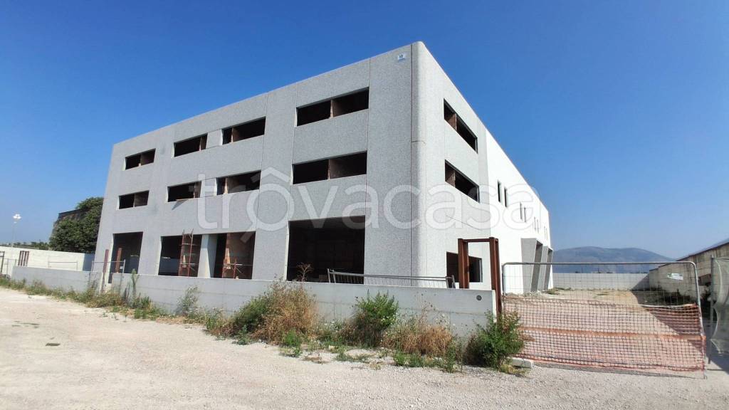 ufficio in affitto a Marigliano