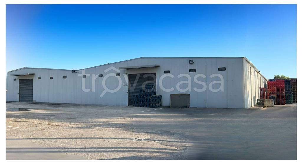 locale commerciale in affitto a Marigliano in zona Miuli
