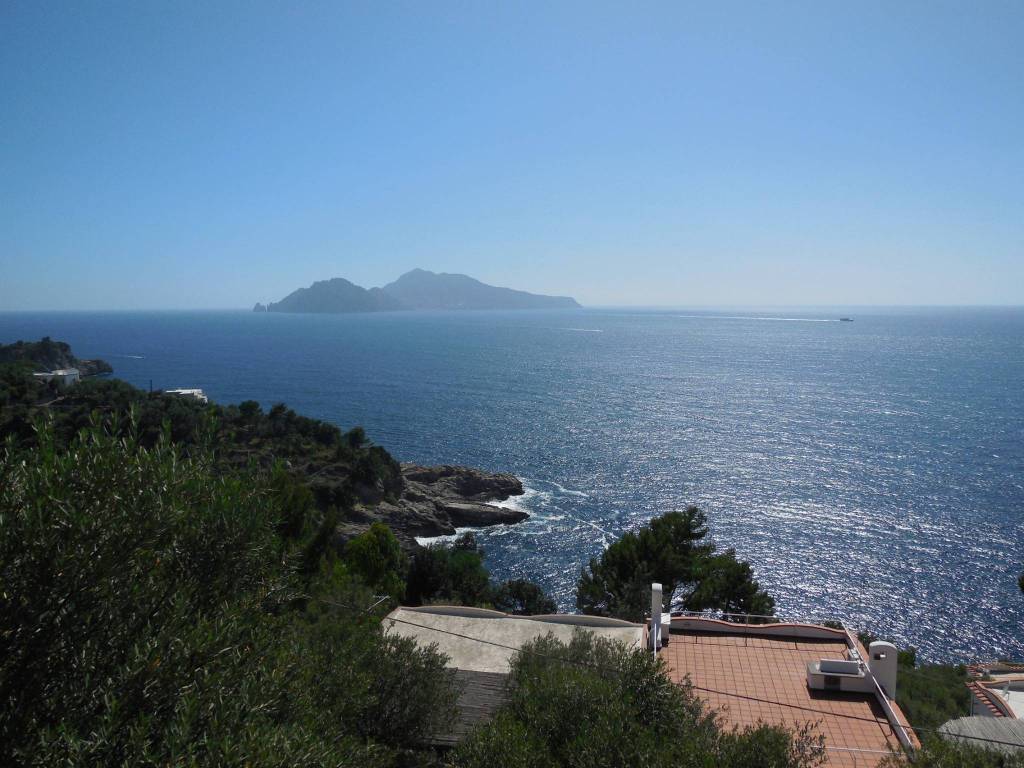 casa indipendente in affitto a Massa Lubrense