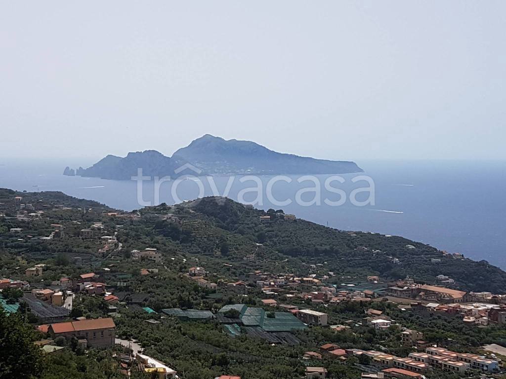 appartamento in affitto a Massa Lubrense