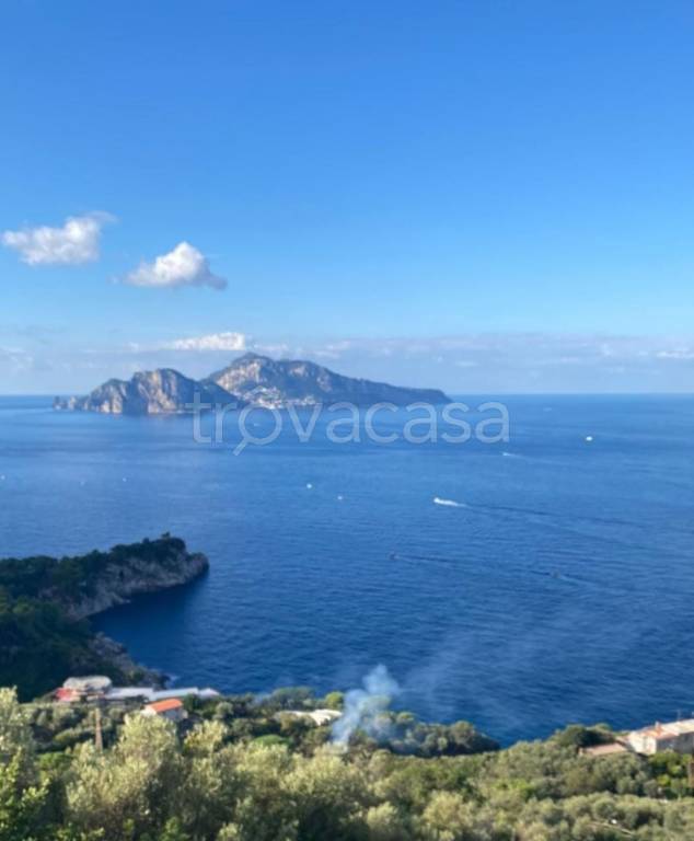 appartamento in affitto a Massa Lubrense
