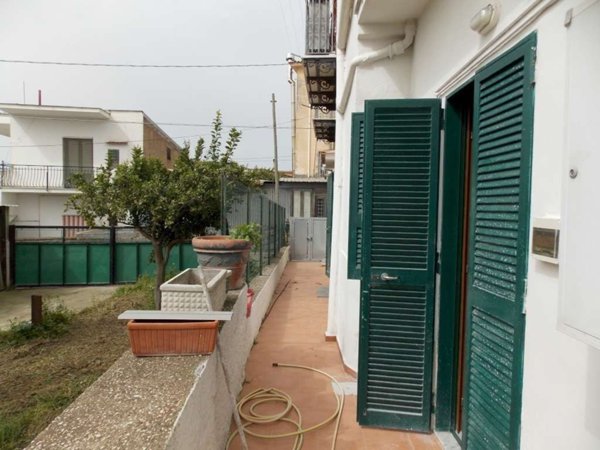 immagine annuncio 0 di 15