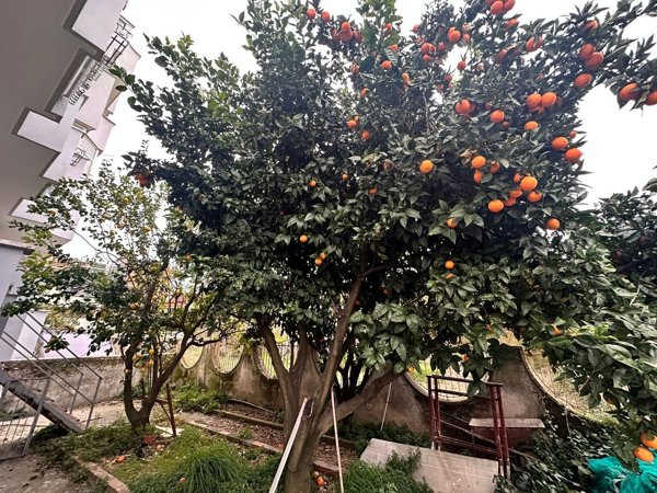 appartamento in affitto a Mugnano di Napoli