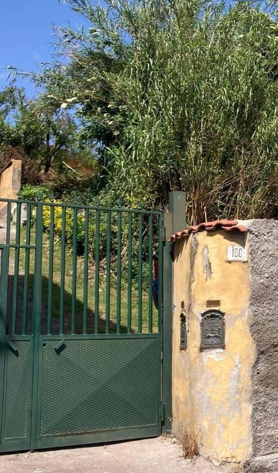 terreno agricolo in affitto a Napoli in zona Capodimonte / Colli Aminei
