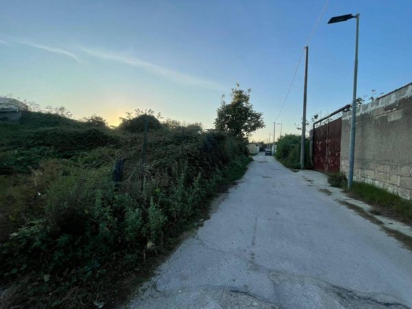terreno agricolo in affitto a Napoli in zona Capodimonte / Colli Aminei