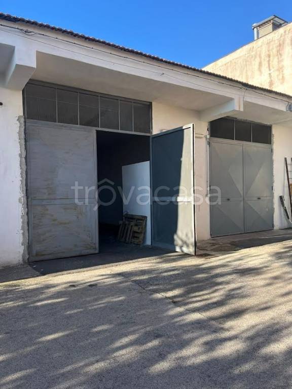 trivano in affitto a Napoli in zona Poggioreale