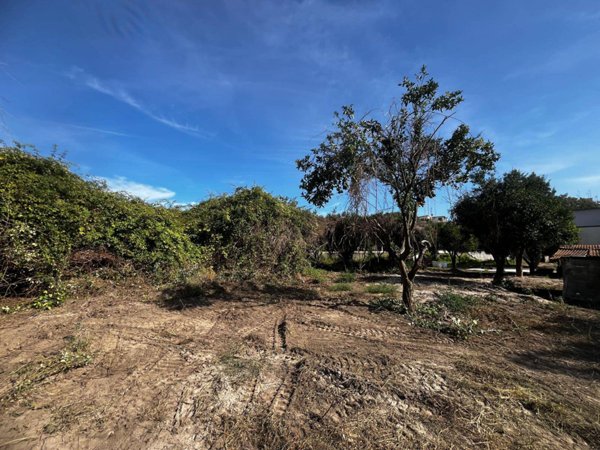 terreno agricolo in affitto a Napoli in zona Soccavo