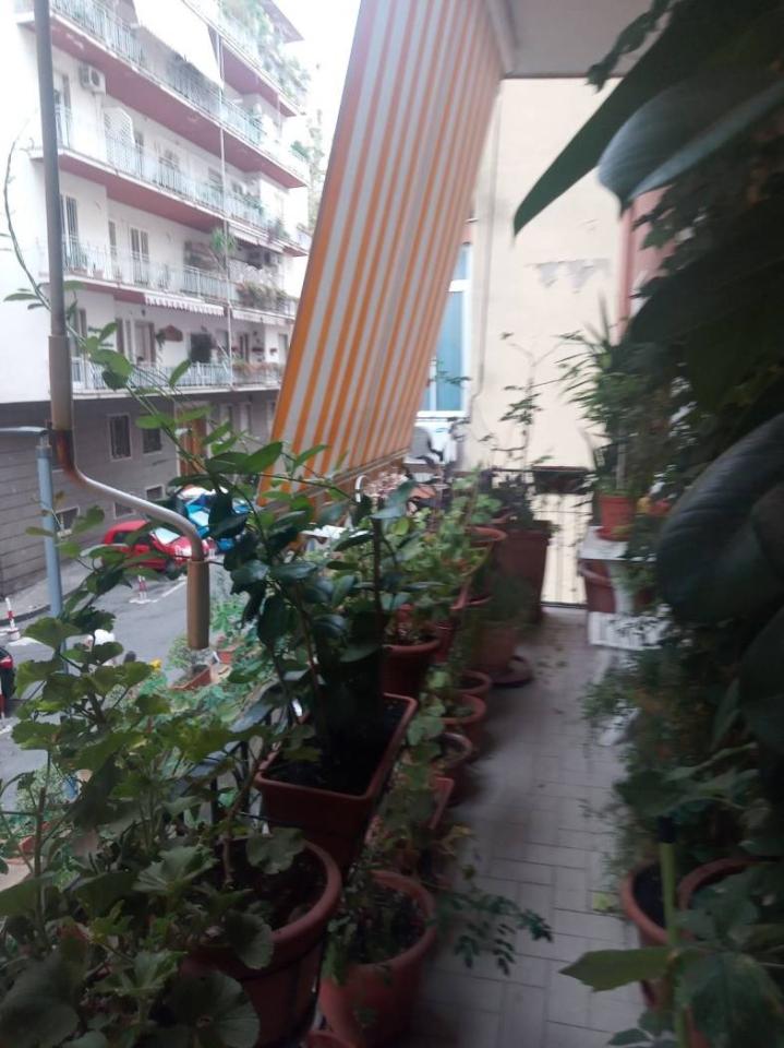 appartamento in affitto a Napoli in zona Vomero