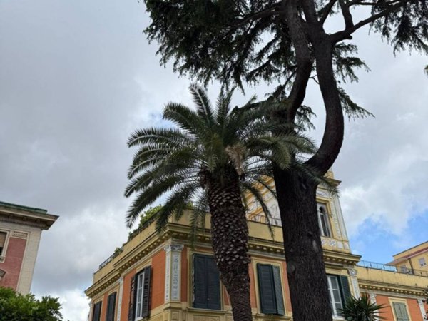 appartamento in affitto a Napoli in zona Vomero