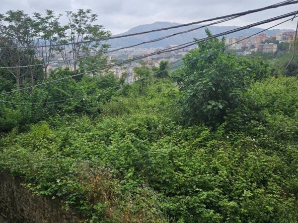 appartamento in affitto a Napoli in zona Posillipo