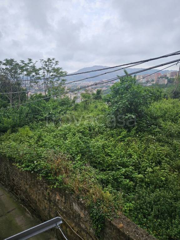 appartamento in affitto a Napoli in zona Posillipo