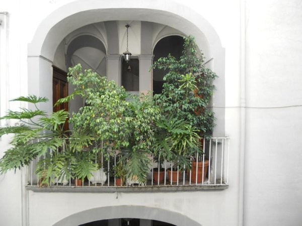 appartamento in affitto a Napoli in zona Arenella