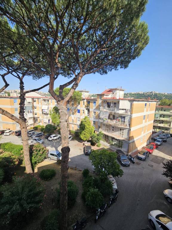 appartamento in affitto a Napoli in zona Bagnoli