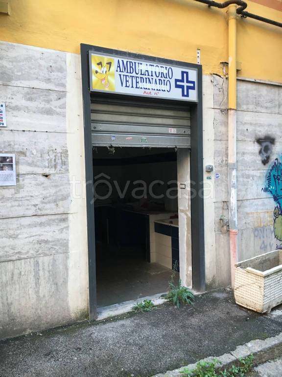 monolocale in affitto a Napoli in zona Fuorigrotta
