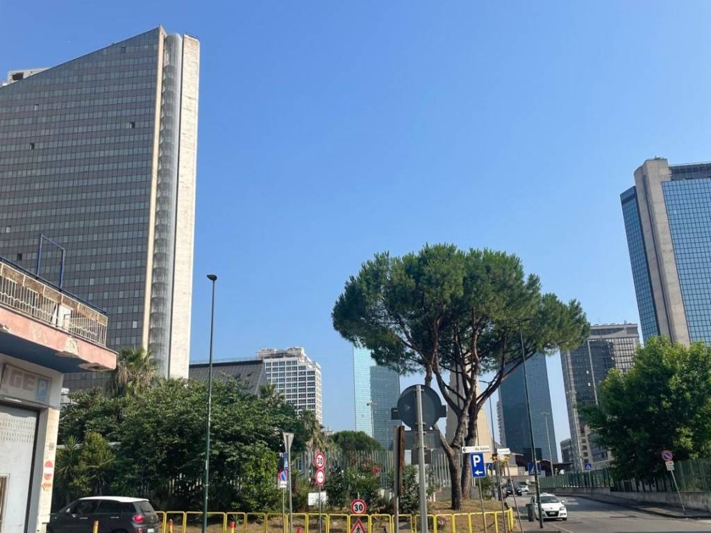negozio in affitto a Napoli in zona Poggioreale