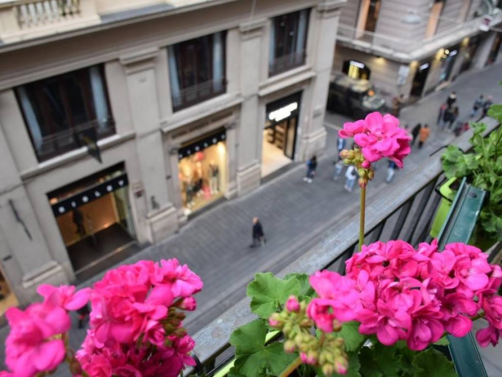 appartamento in affitto a Napoli