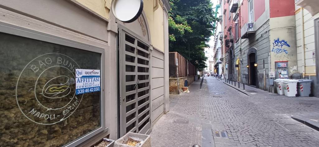 appartamento in affitto a Napoli in zona Chiaia