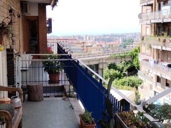 appartamento in affitto a Napoli in zona Camaldoli