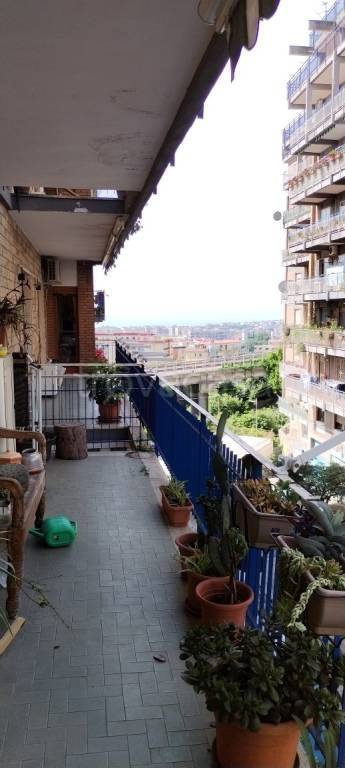 appartamento in affitto a Napoli in zona Arenella