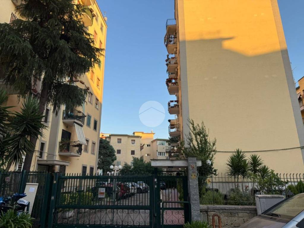 appartamento in affitto a Napoli in zona Arenella