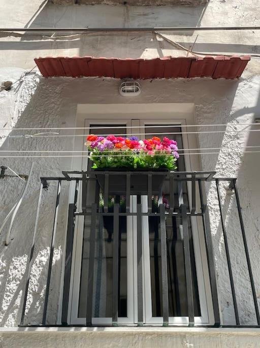 appartamento in affitto a Napoli in zona Capodimonte / Colli Aminei