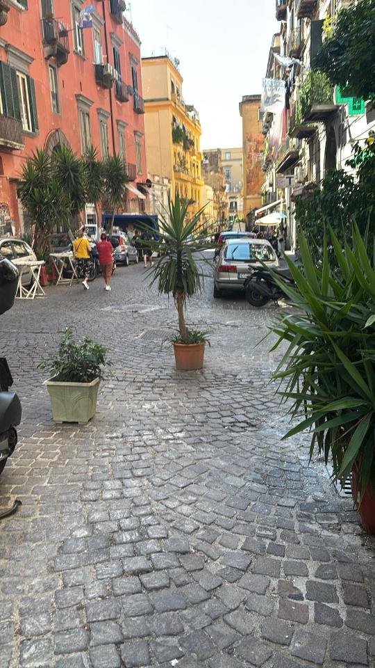 appartamento in affitto a Napoli in zona Arenella