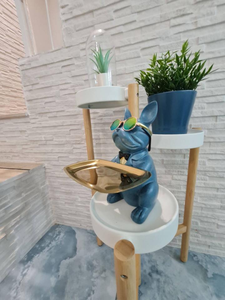 immagine annuncio 0 di 8