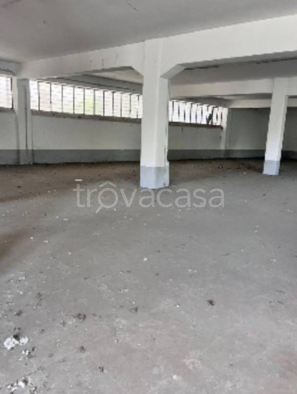trivano in affitto a Napoli in zona Poggioreale