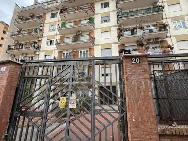 appartamento in affitto a Napoli