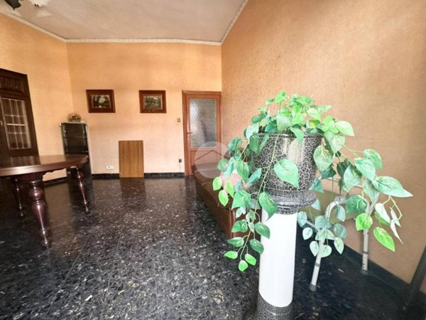 immagine annuncio 0 di 13