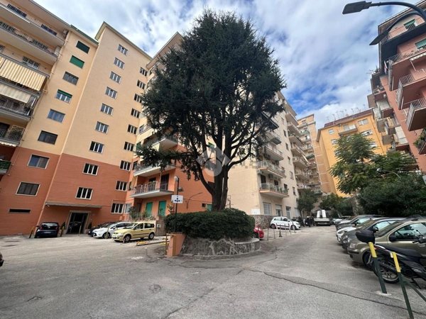 appartamento in affitto a Napoli