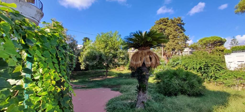 casa indipendente in affitto a Napoli