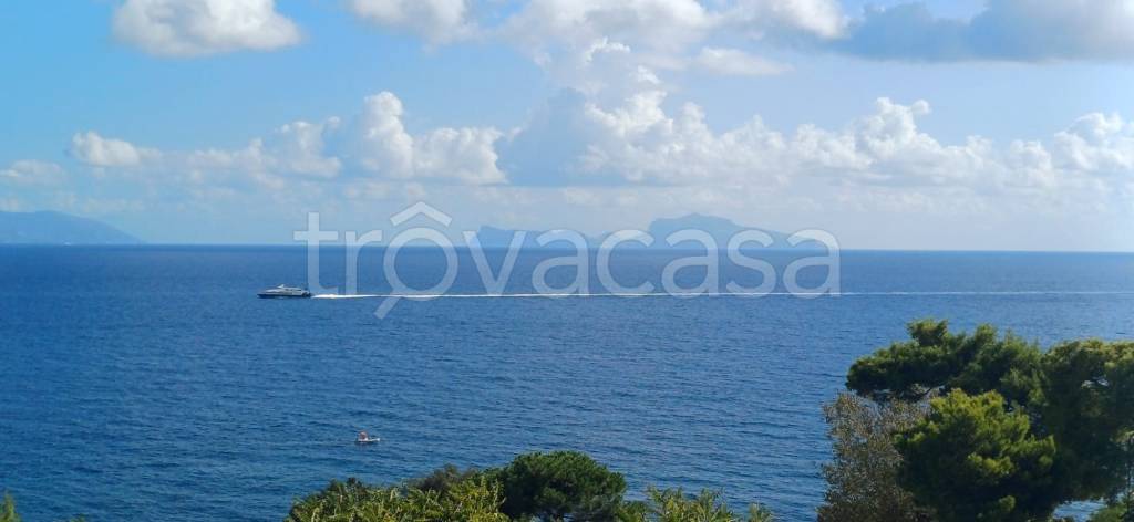 casa indipendente in affitto a Napoli