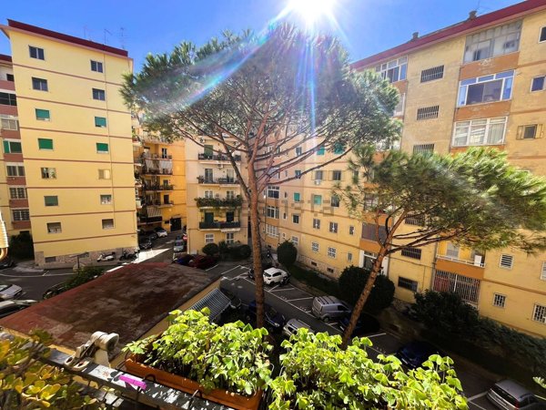 appartamento in affitto a Napoli in zona Arenella