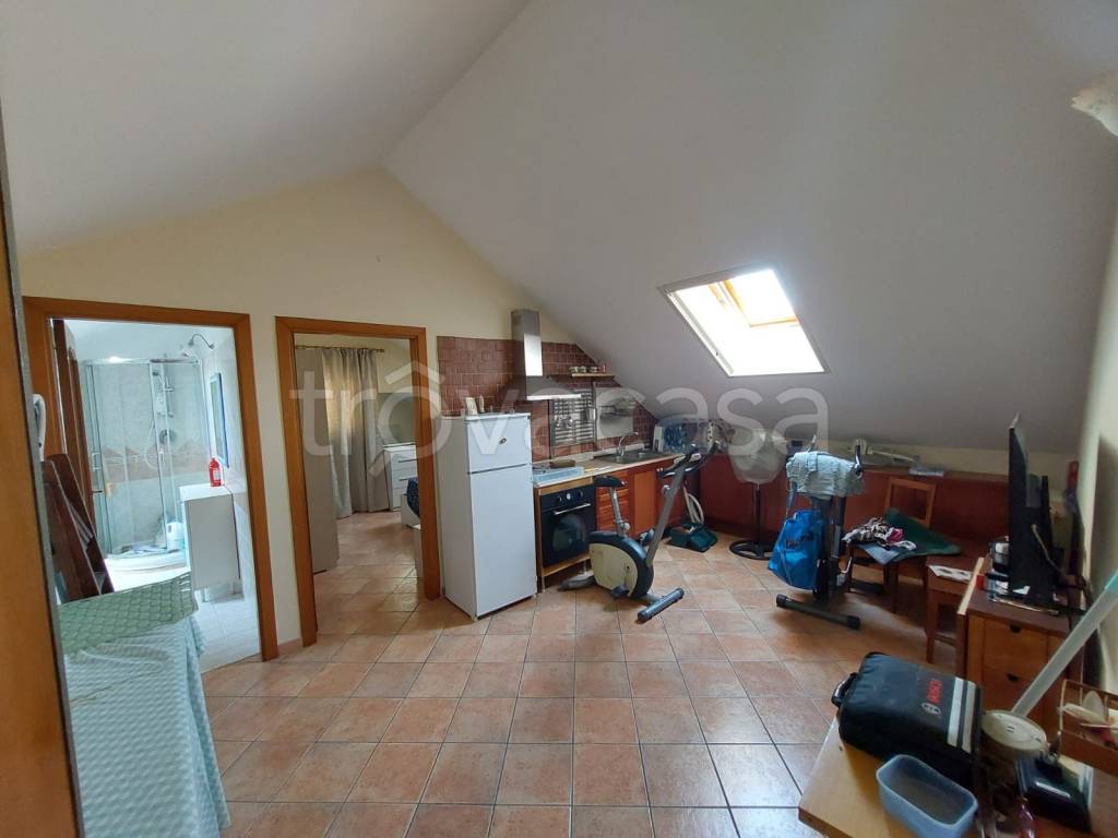 immagine annuncio 0 di 15