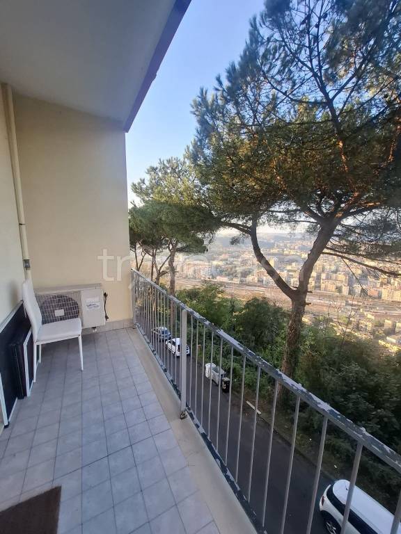 appartamento in affitto a Napoli in zona Posillipo