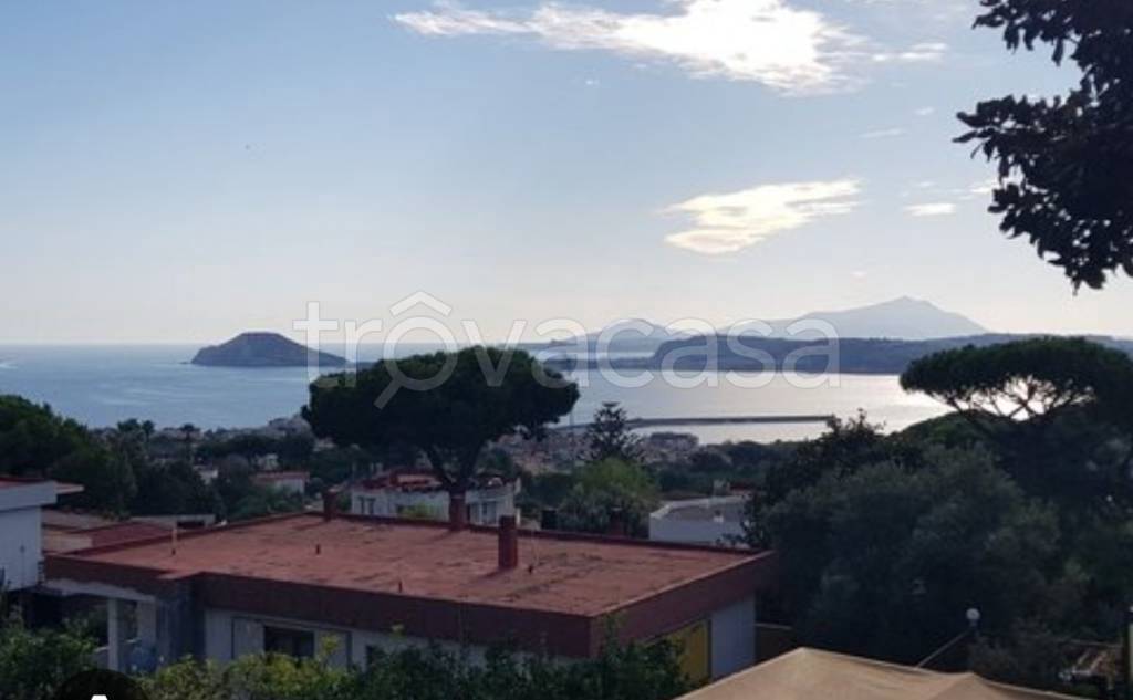 appartamento in affitto a Napoli in zona Fuorigrotta