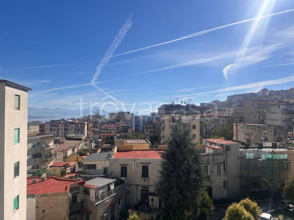 appartamento in affitto a Napoli in zona Arenella