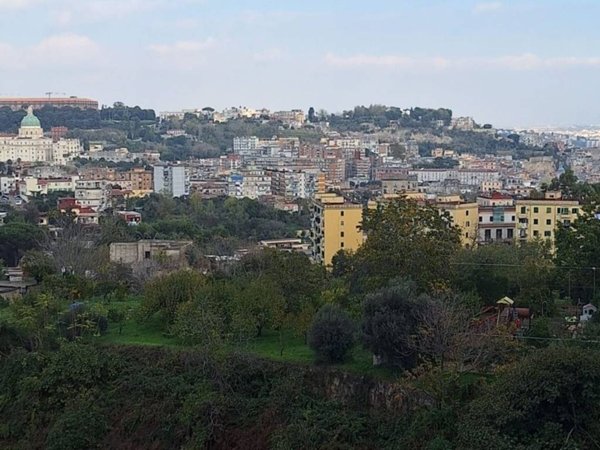appartamento in affitto a Napoli