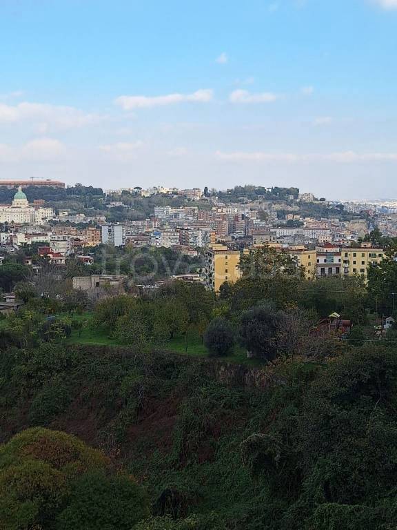appartamento in affitto a Napoli in zona Stella