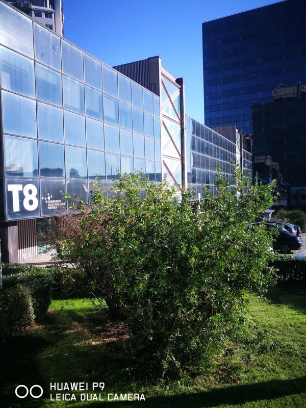 ufficio in affitto a Napoli in zona Poggioreale