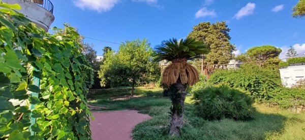 casa indipendente in affitto a Napoli in zona Posillipo